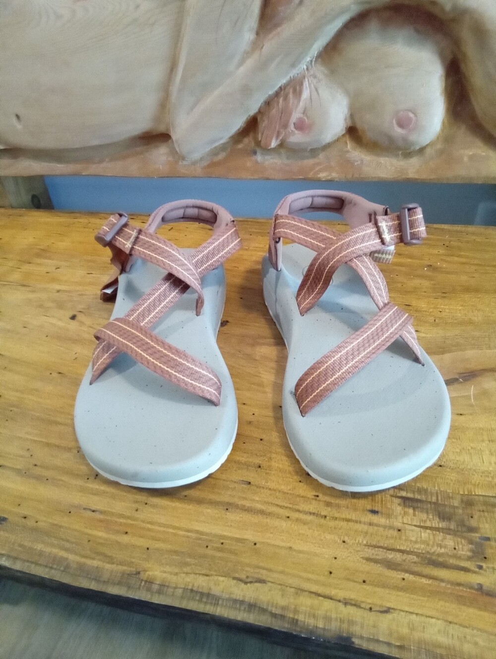 Chaco CushZ Toe-Loop Extra Cushioned Sandals Women's Sz 9 Frond Pink Salt